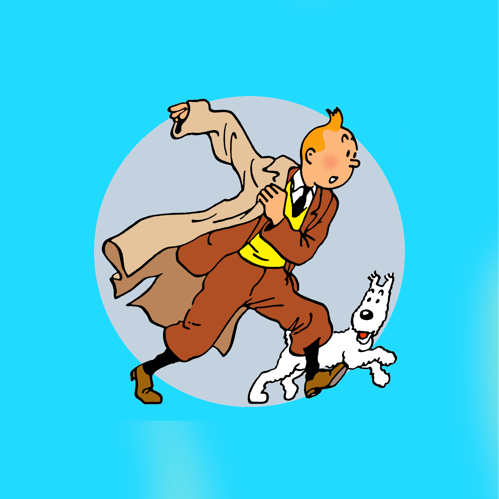 FIGURINE TINTIN - La Case Au Tresor