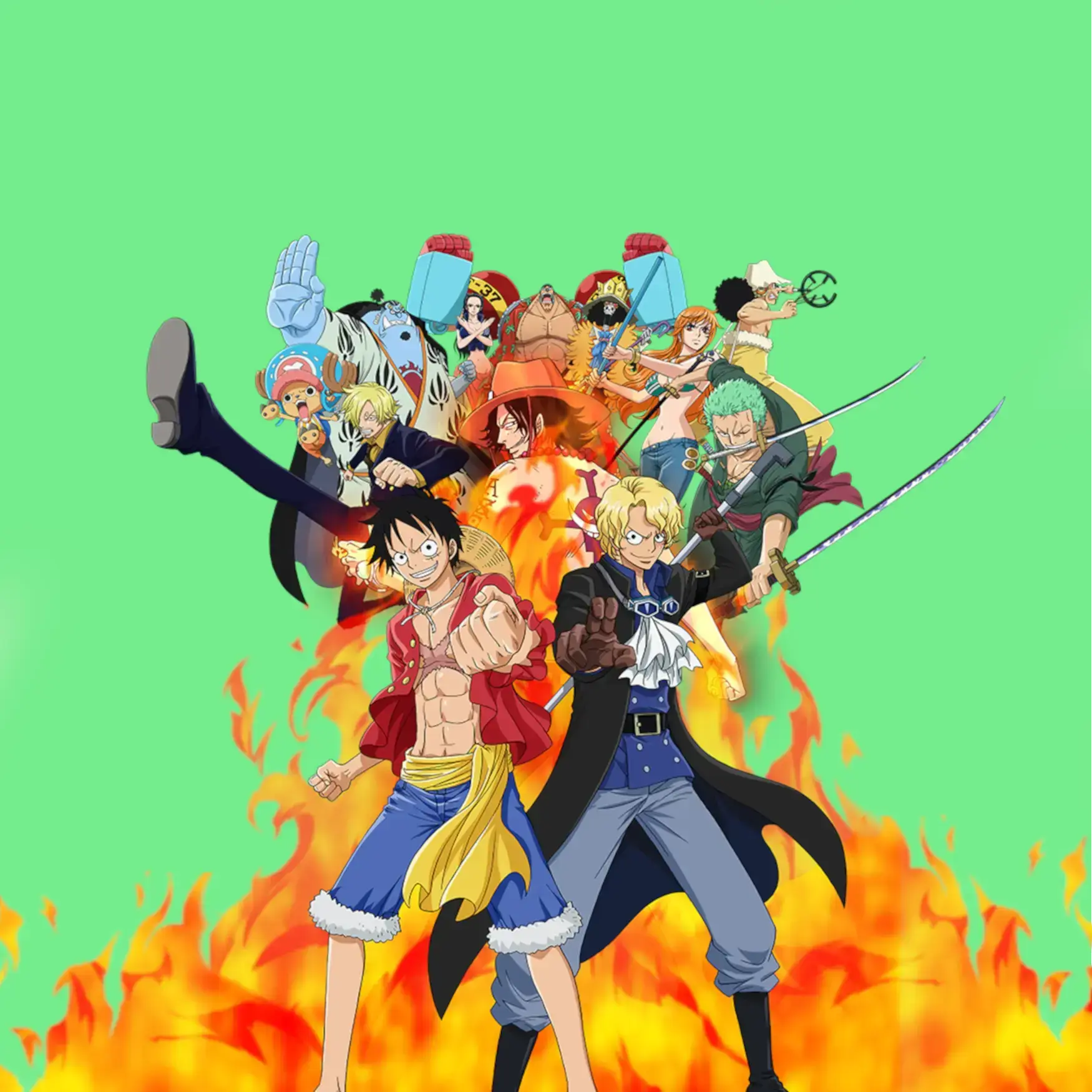 ONE PIECE - La Case Au Tresor